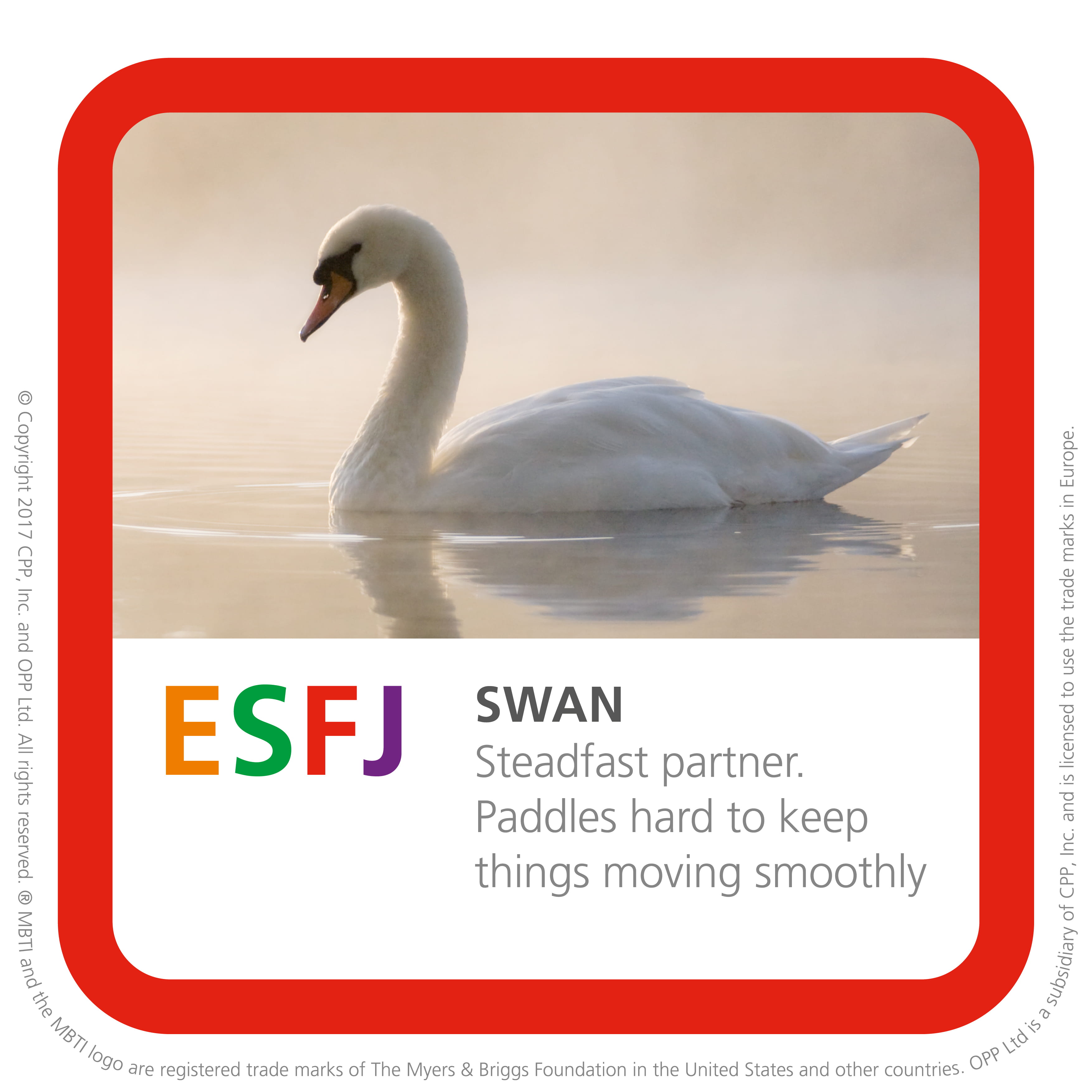 Typical birds for ESFJs