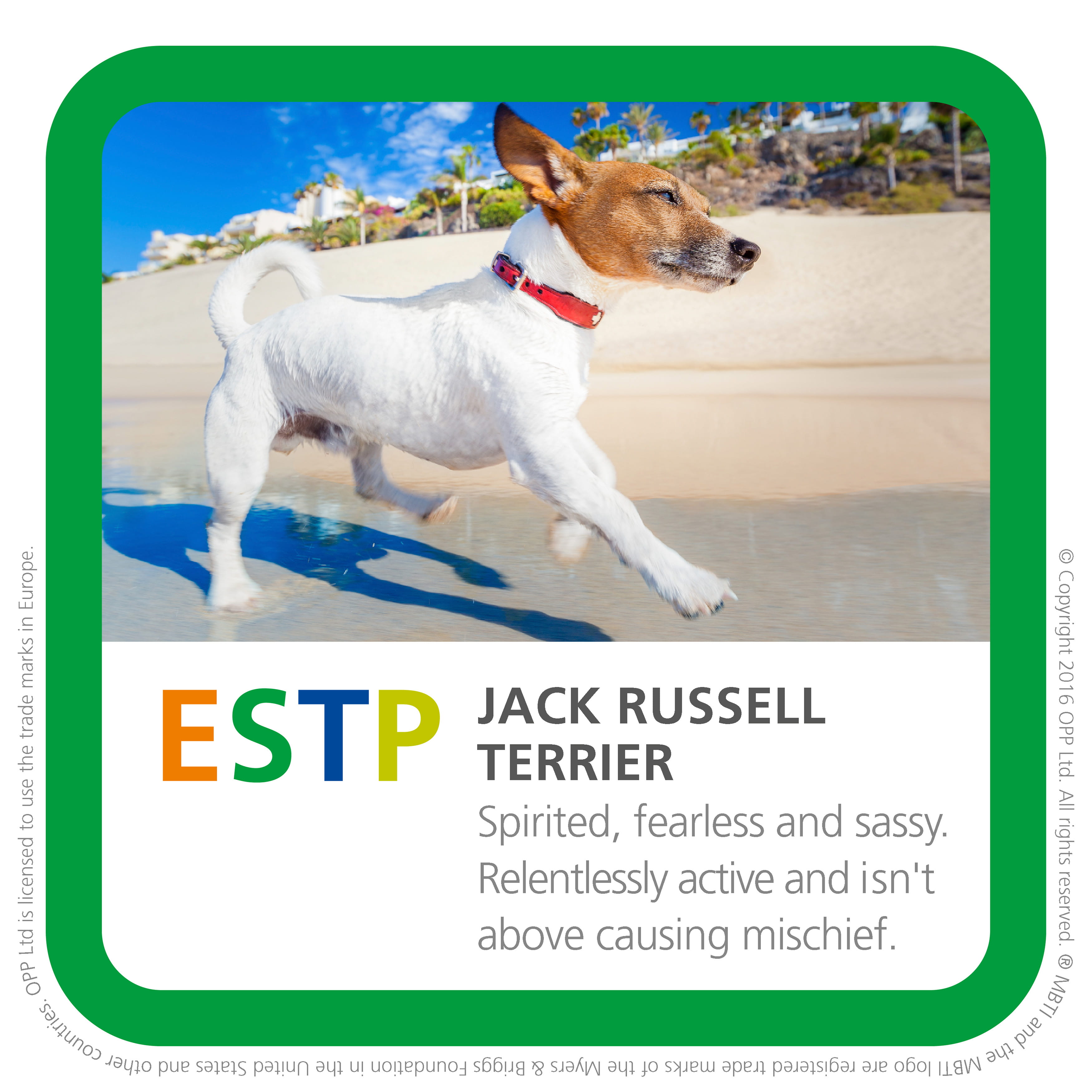 Typical dogs for ESTPs